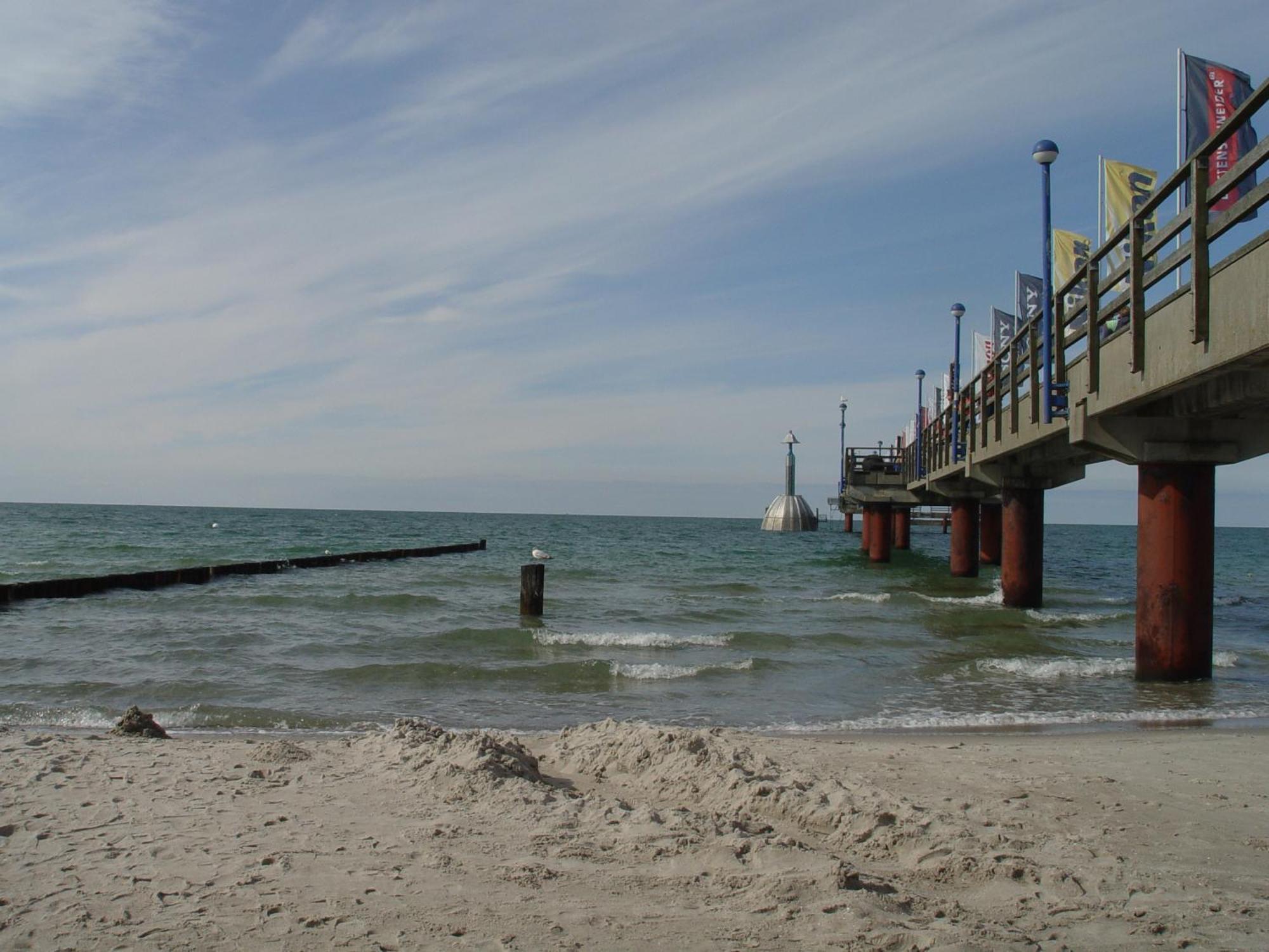 Appartement Am Waeldchen à Zingst Extérieur photo